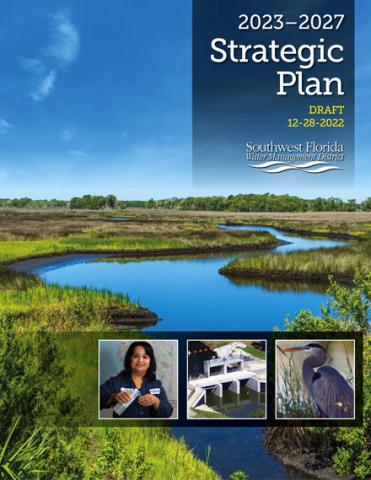 Strategic Plan 