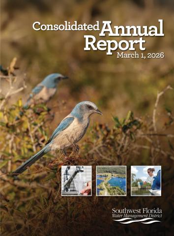 cover of the 2026 consolidated annual report