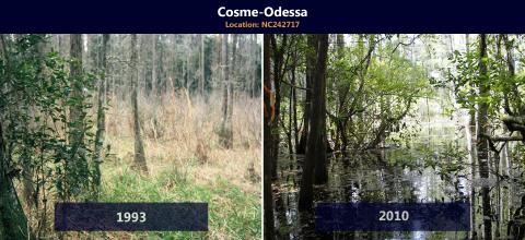 Before and after restoration efforts at Cosme-Odessa location.