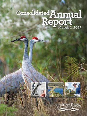 Consolidated Annual Report cover