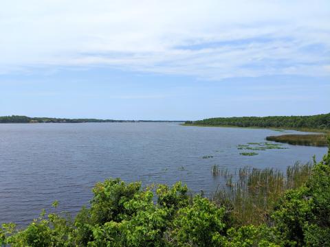 LakeTarpon