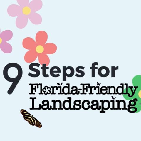 Learn the 9 steps for landscaping in Florida