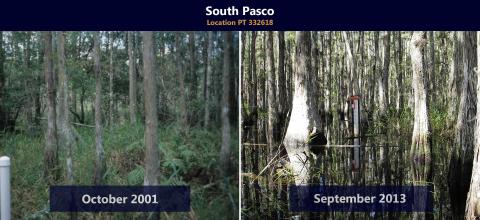 Before and after restoration efforts at South Pasco location.