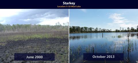 Before and After restoration efforts at Mud Lake.  