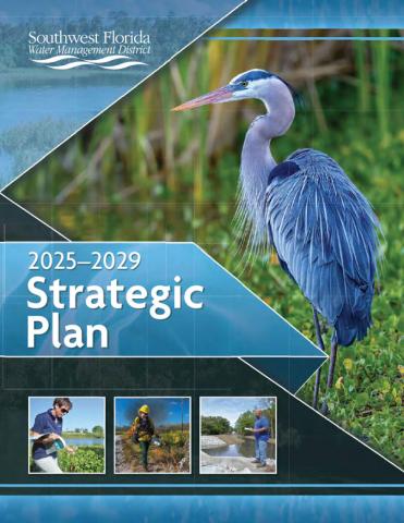 Strategic Plan 