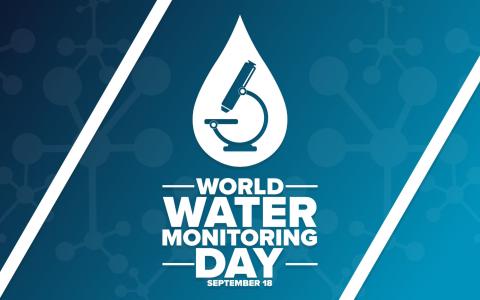 logo for monitoring day
