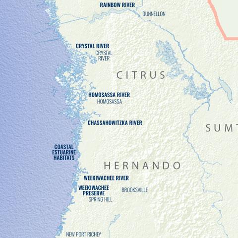 Springs Coast Watershed Excursion map thumbnail