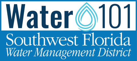 Water 101 logo
