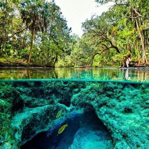 chassahowitzka river wildlife refuge national highlights