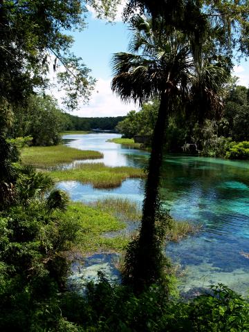 rainbow_springs_2006_11.jpg