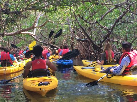 Students Kayaking