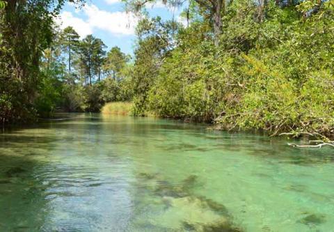 weeki-wachee