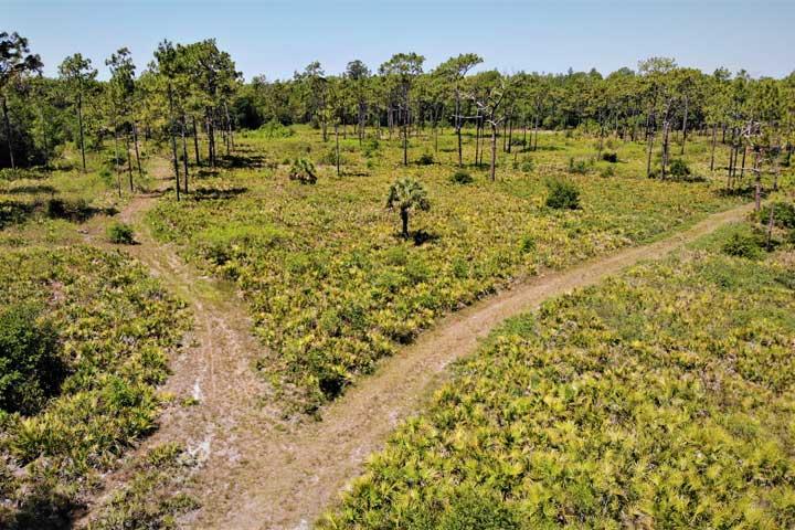 aerial view of Alston Tract trails