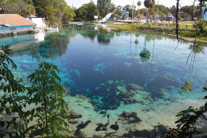 weeki wachee spring