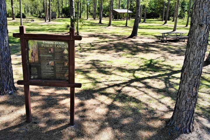 sign in the pine trees