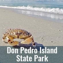 Don Pedro Island 