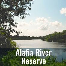 Alafia River