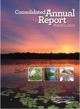 Consolidated Annual Report cover
