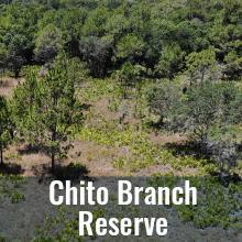 Aerial view of clearing in woods