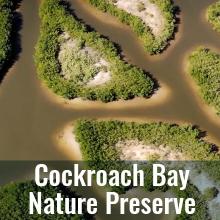 Aerial view of the restored Cochroach Bay