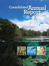 Consolidated Annual Report cover