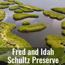 Aerial view of the restored preserve