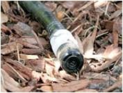 bubbler tree irrigation florida basics