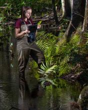 Donna Campbell in wetlands