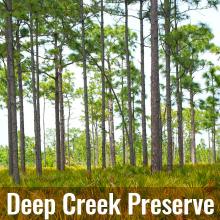 View Deep Creek Preserve