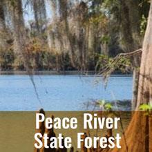 Visit Peace River State Forest