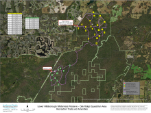 Lower Hillsborough Wilderness Preserve - Oak Ridge Equestrian Area