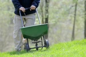 spreading fertilizer on grass