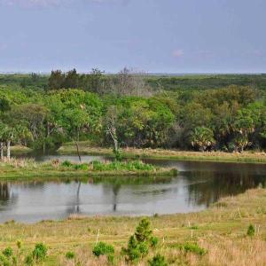 water and surrounding habitat at District restoration site
