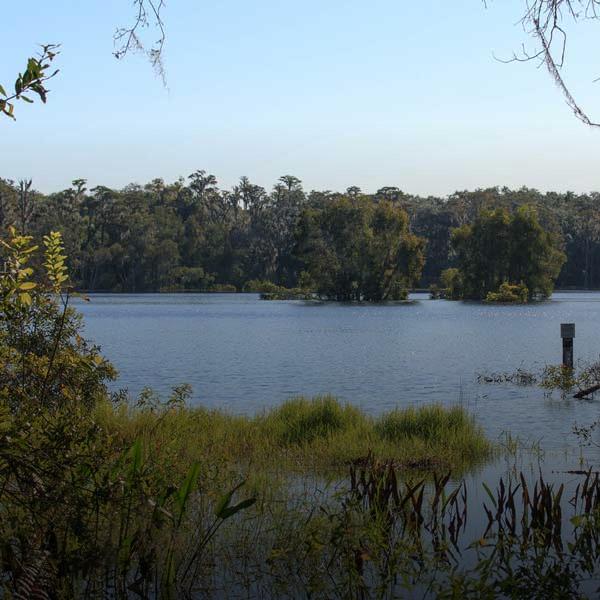 view of Lake Raleigh