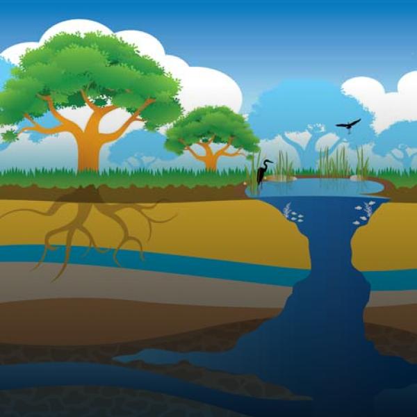 cutaway illustration of aquifer