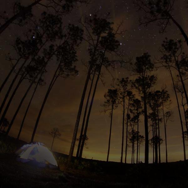 Picture of night camping