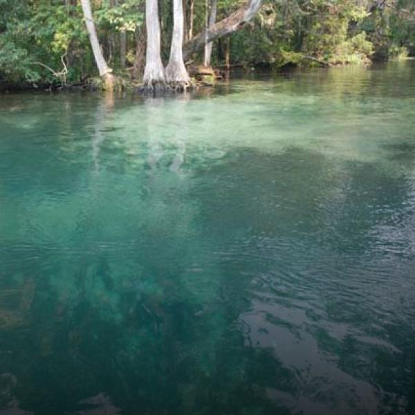 Clear water at spring