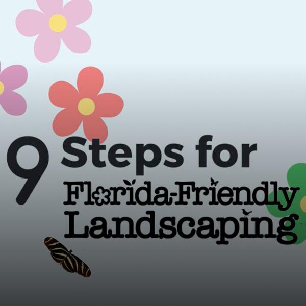 Learn the 9 steps for landscaping in Florida