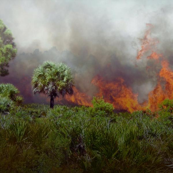 Prescribed Burning in Florida