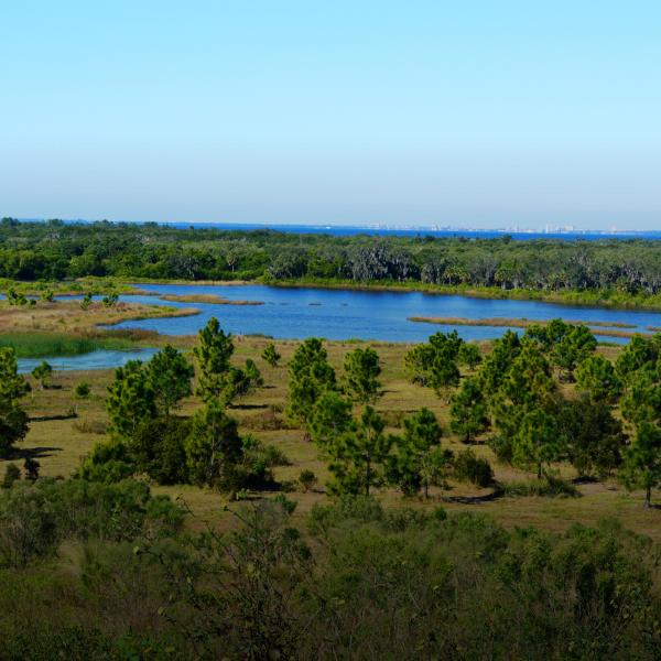 Overview of the Rock Ponds Ecosystem Restoration Project