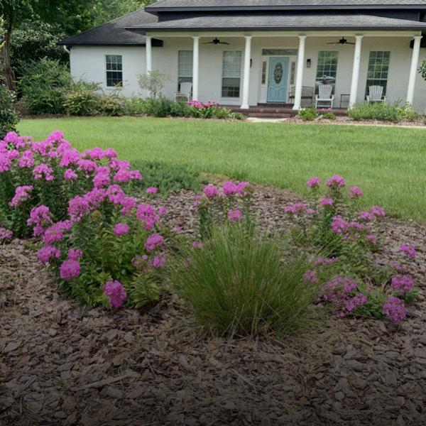 Landscaping in front of home