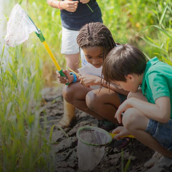 School kids netting specimens