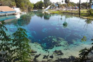 Weeki Wachee Springs