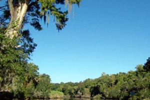 Chassahowitzka Springs