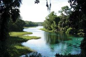 Rainbow Springs