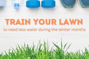 Train your lawn to need less water during the winter months