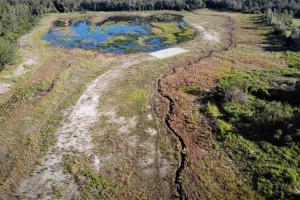 Aerial view of Balm Boyette restoration