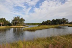 Restored wetlands at Clam Bayou