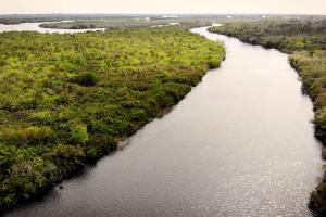 Aerial view of wide creek flowing through forest