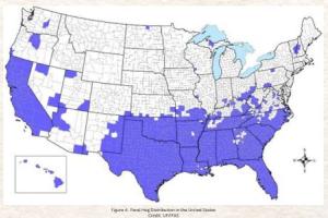 Feral Hog Distribution in the United States Credit: UF/IFAS